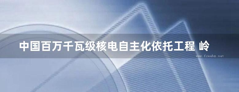 中国百万千瓦级核电自主化依托工程 岭澳核电站二期工程建设与创新 综合卷